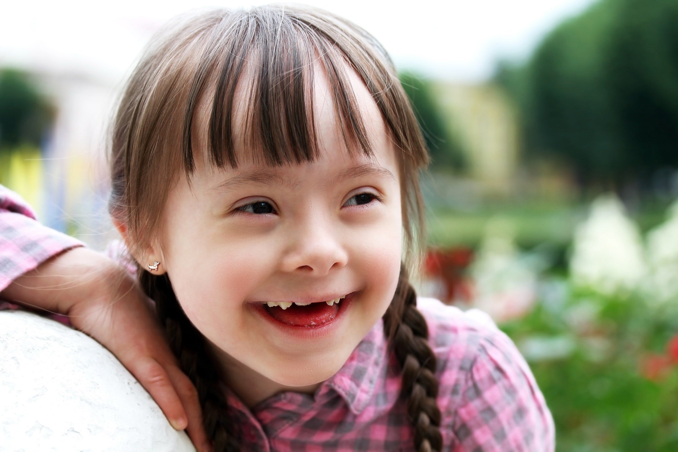 Dachshund Dog Stud Earrings - 925 Sterling Silver